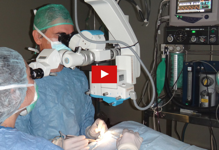 Vídeo cirugía perforación corneal en un perro