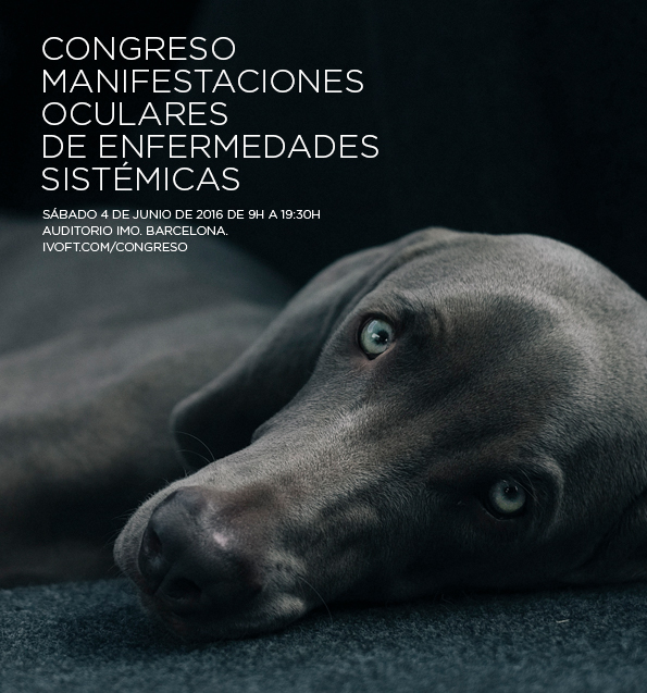 Congreso_IVO