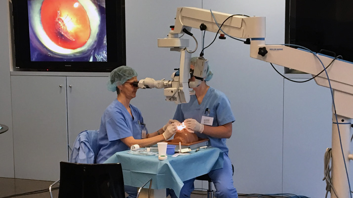 Prácticas de microcirugía ocular veterinaria