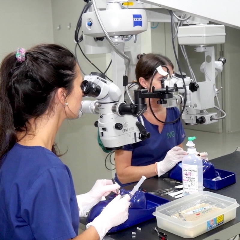 Entorno de prácticas de cirugía oftalmológica veterinaria en IVO