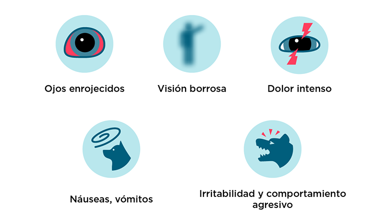 Fases avanzadas de glaucoma