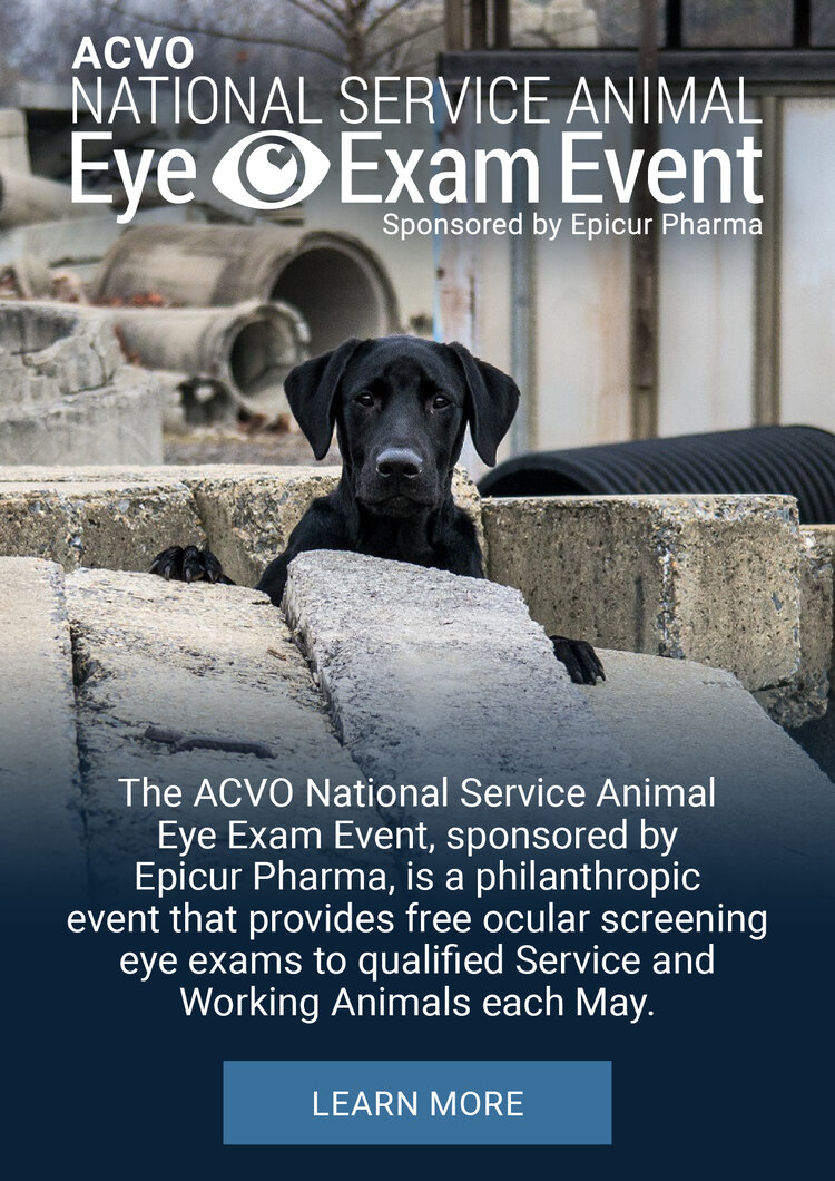 Campaña de revisiones gratuitas ACVO para perros guía o de servicio