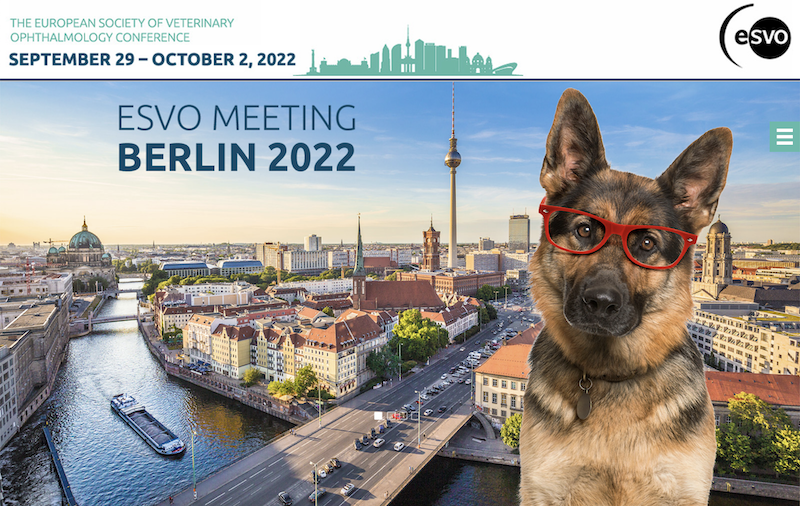 ESVO Meeting 2022 Berlin