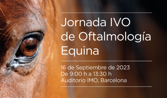 Jornada IVO Oftalmología Veterinaria