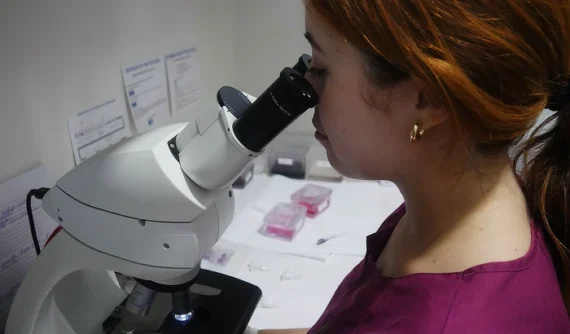 Veterinaria observando una muestra ocular bajo el microscopio en laboratorio, realizando un análisis detallado para detectar infecciones, inflamaciones o posibles células tumorales en el paciente.