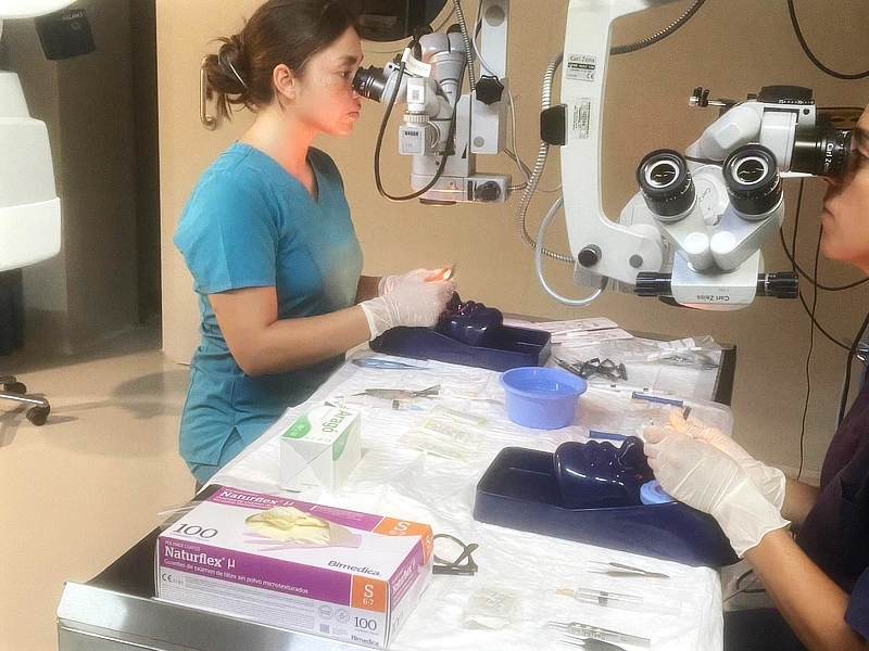 Dos veterinarias enfocadas en su formación quirúrgica. Usan microscopios y guantes, simulando un caso real, y otros instrumentos necesarios para la cirugía.