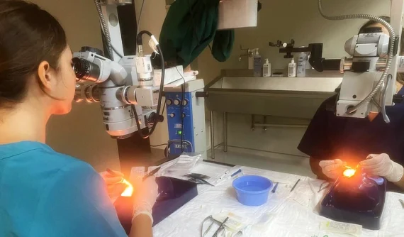 Dos veterinarias realizan prácticas de cirugía corneal en un laboratorio equipado. Usan microscopios quirúrgicos especializados mientras practican técnicas en modelos anatómicos.