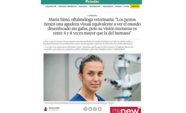 Dra. María Simó, oftalmóloga veterinaria de IVO, entrevistada en La Vanguardia sobre cómo ven los perros, visión nocturna y diferencias entre razas.