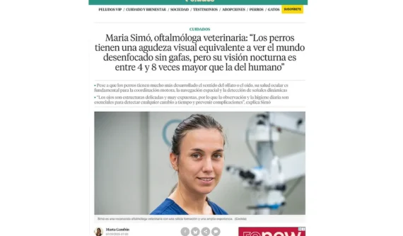 Dra. María Simó, oftalmóloga veterinaria de IVO, entrevistada en La Vanguardia sobre cómo ven los perros, visión nocturna y diferencias entre razas.