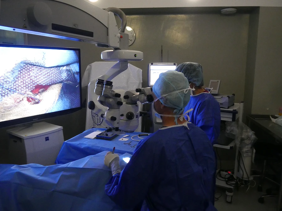 Equipo quirúrgico del IVO en plena intervención de Trek, aplicando técnicas avanzadas para extirpar el epitelioma de glándulas de Meibomio y prevenir recidivas.