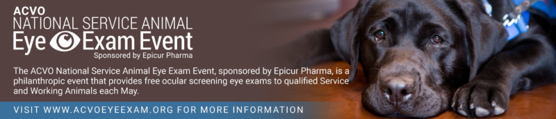 Revisiones ACVO para perros guia