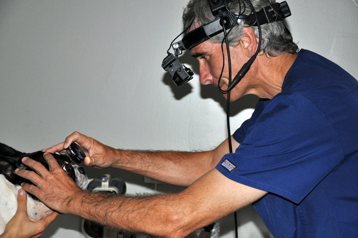 oftalmoscopia indirecta (microscopio binocular)