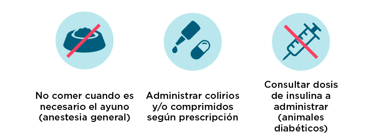 Después del crosslinking corneal