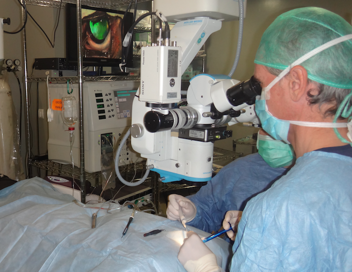 Cirugia-catarata-Simo