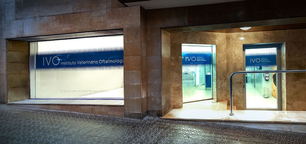 Vista exterior de la Clínica IVO en Barcelona.