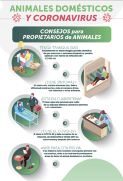 Decalogo coronavirus