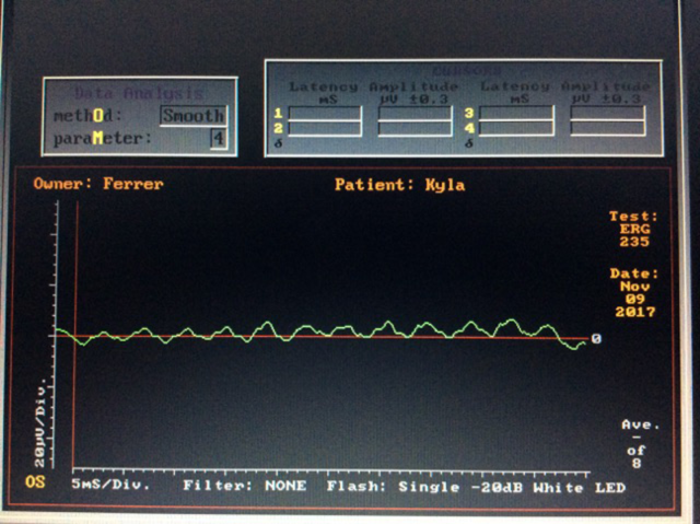 Electrorretinografía de un perro sin respuesta de células fotoreceptoras ni bipolares
