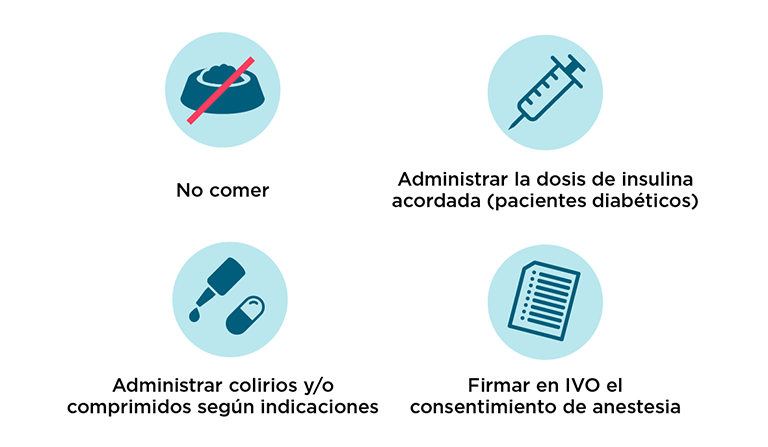 Vitrectomía: el día de la intervención