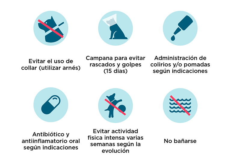 Trasplante de córnea: después de la intervención