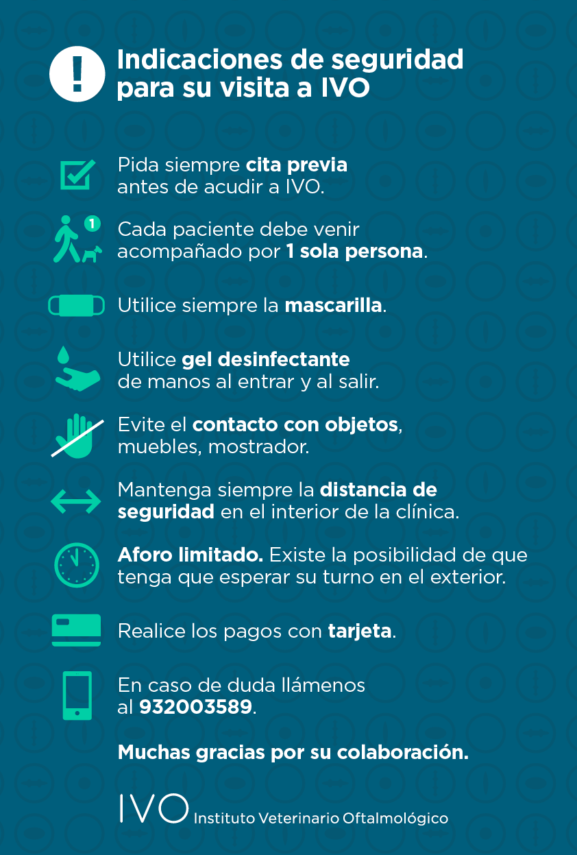 Indicaciones de seguridad IVO