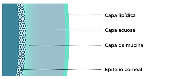 Composición de la película lagrimal