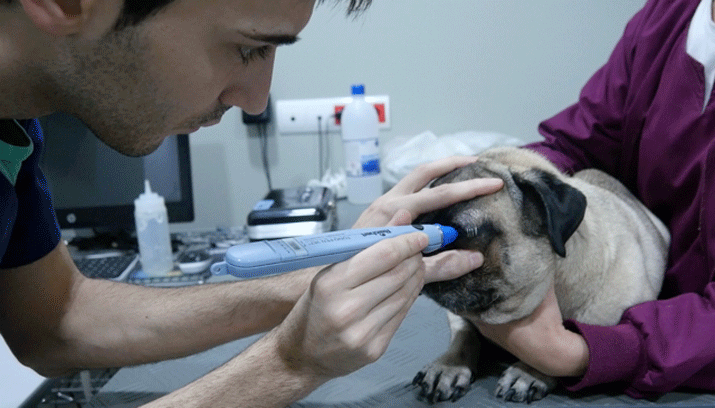 Tonometría para medir la presión ocular