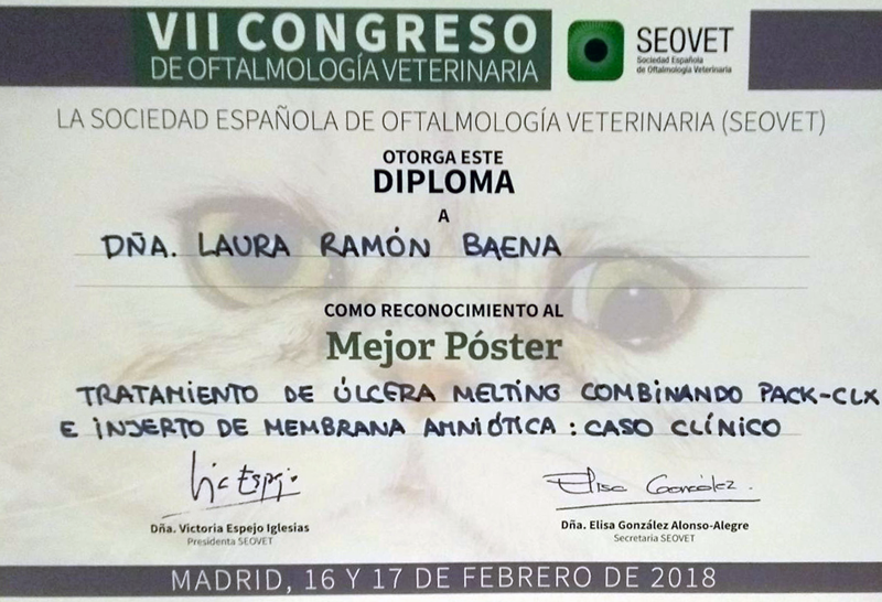 Premio poster SEOVET al IVO