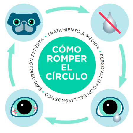 Círculo vicioso del ojo seco