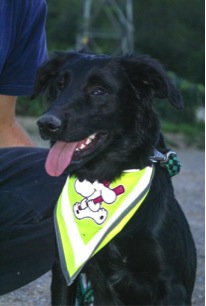 Tekila-catarata-congenita