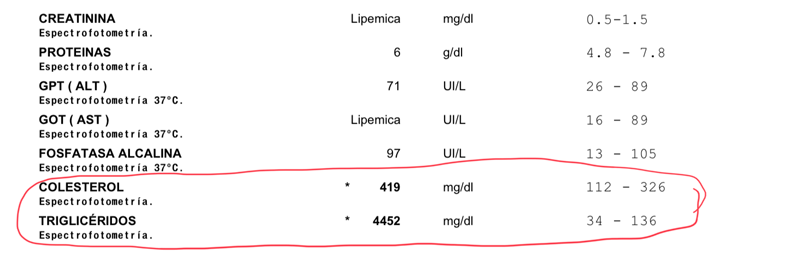 Analítica de Rody, un perro con uveitis lipémica