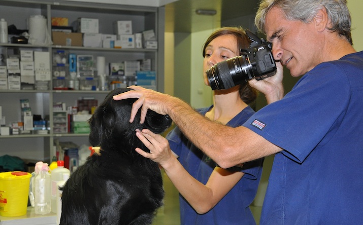 bourbon-catarata-congenita-bilateral-examen-previo