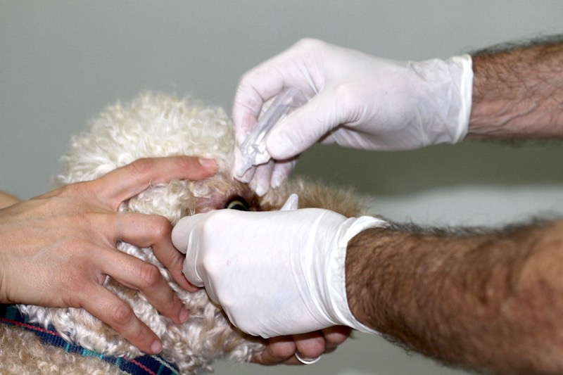 Medicación tras extracción de cuerpo extraño