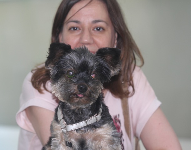 Caso clínico melanoma conjuntiva canino