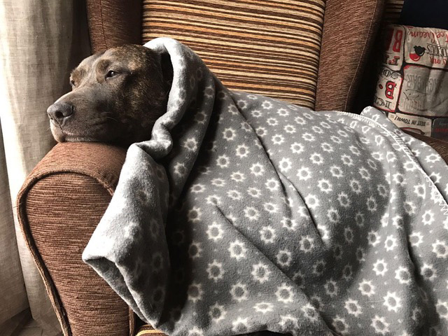 Caso Rio - Luxacion del cristalino