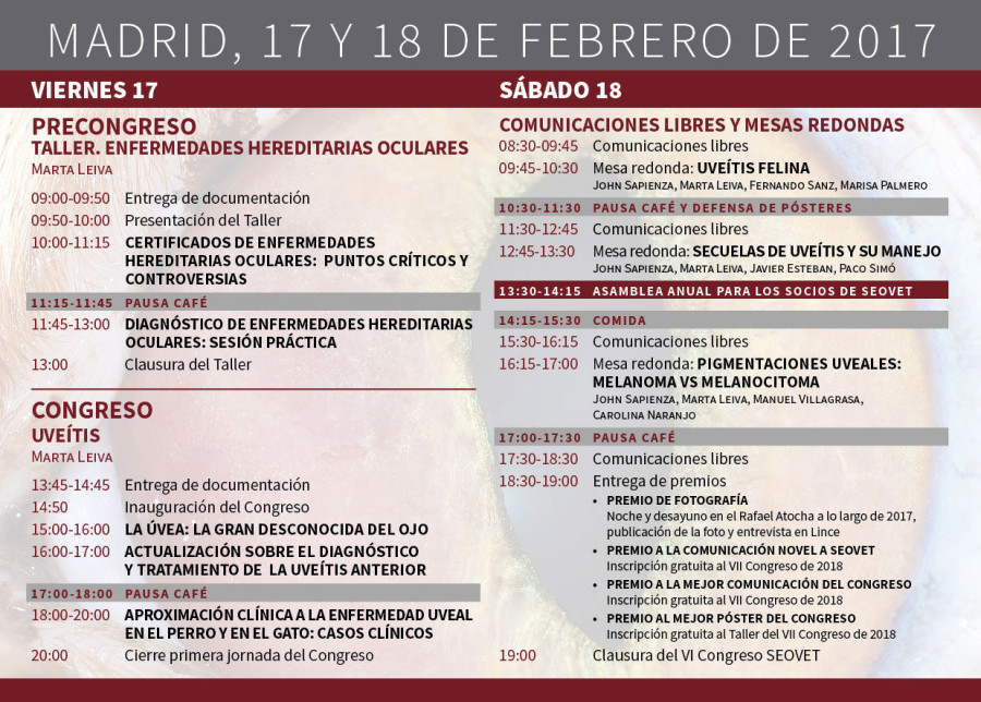 Programa VI Congreso SEOVET Uveítis