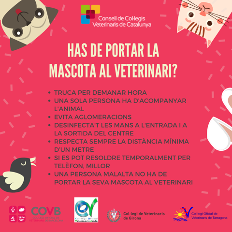 ¿Tiene que llevar a su mascota al veterinario?