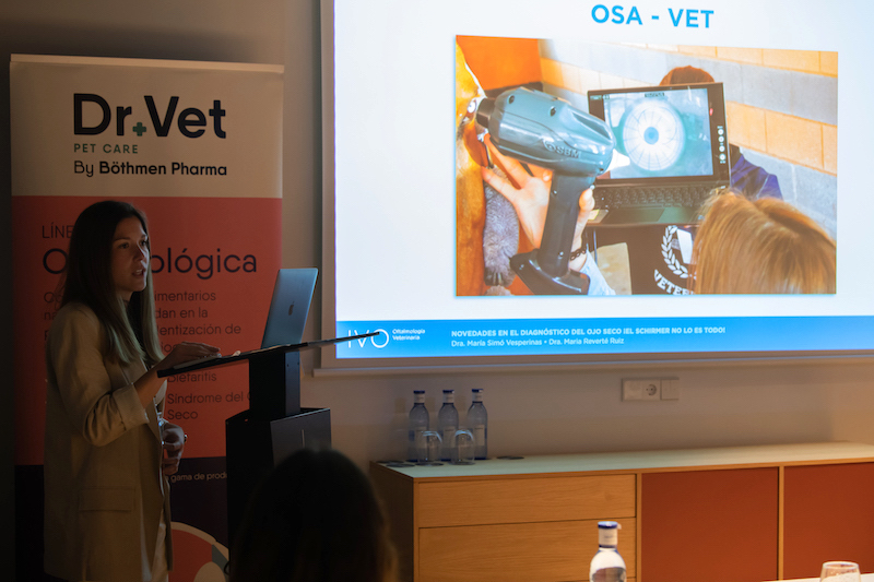 Maria Reverté, oftalmóloga de IVO especialista en équidos