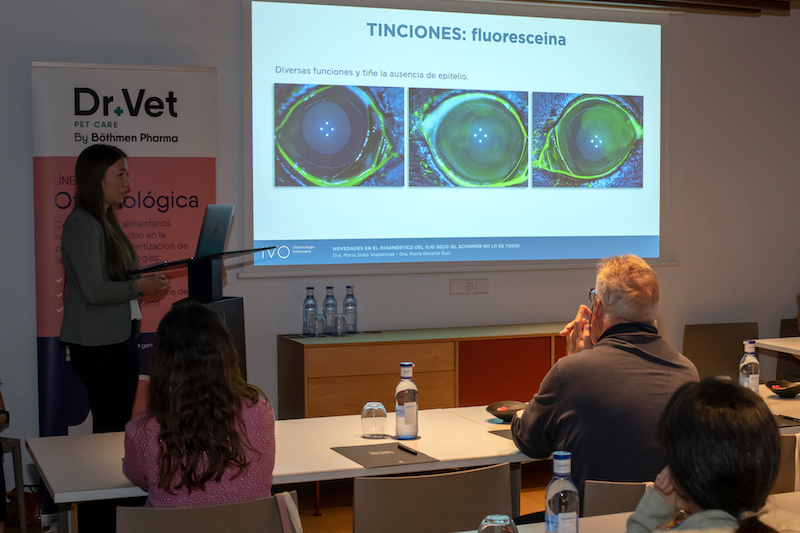 Maria Simó en Jornada de Formción IVO Ibiza