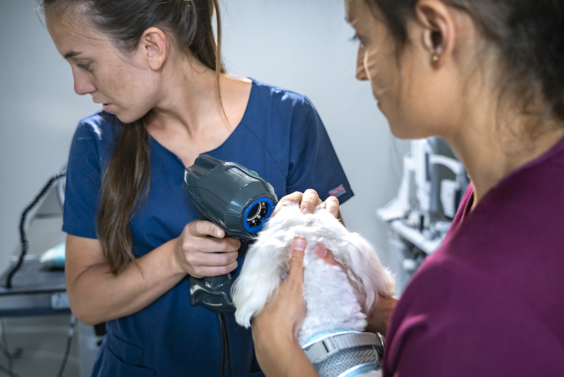 Prueba OSAVET en IVO