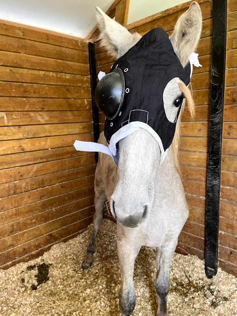 Massai en Equihealth con su máscara protectora. 