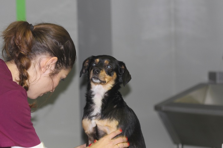 preoperatorio-catarata