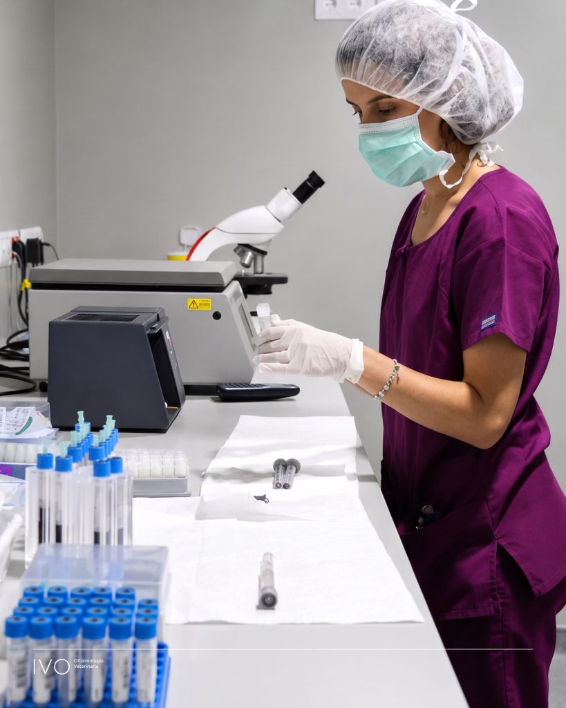 Veterinaria con mascarilla y gorro manipulando muestras biológicas en laboratorio equipado con microscopio, tubos de ensayo y material para investigación y análisis clínicos.